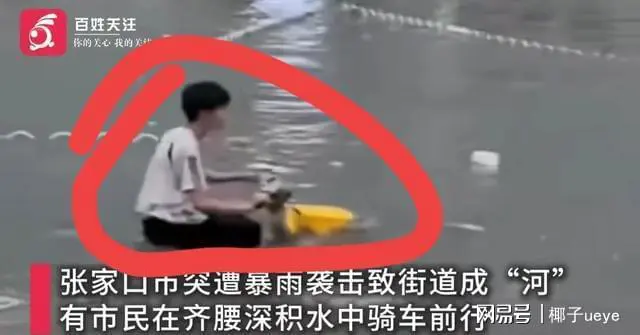 关于竞技风波！球场上发生不测，胜利成谜的信息