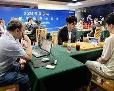 柏明翰在主场逼平罗奇代尔，保持不败战绩的简单介绍